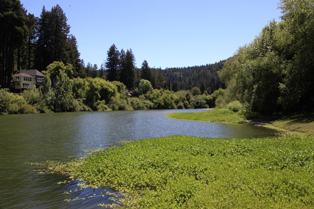 On The Russian River Mini-hôtel Monte Rio